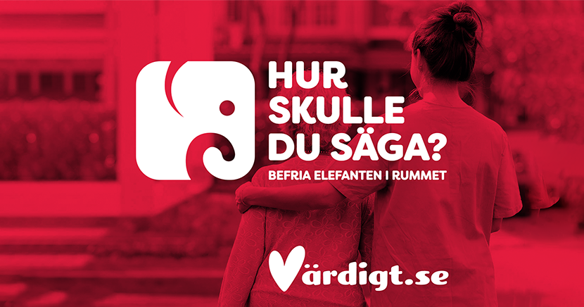 Sällskapsspel - Hur skulle du säga? - Befria elefanten i rummet