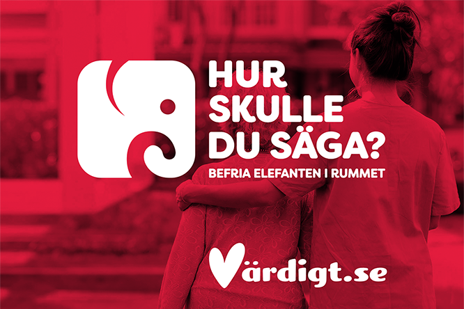 Sllskapsspel - Hur skulle du sga? - Befria elefanten i rummet